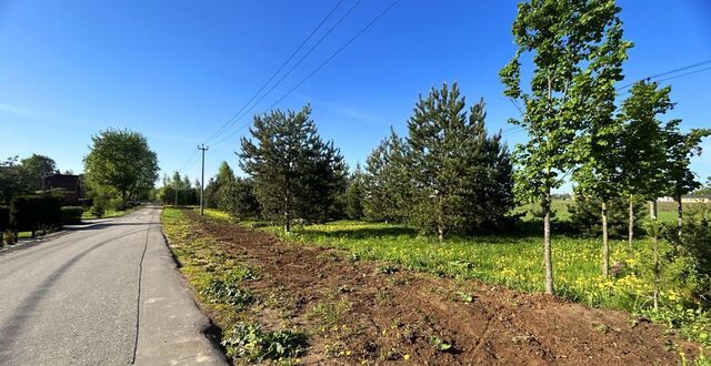 городской округ Пушкинский 18 км, мкр-н Новая Деревня, Пушкино, Ярославское шоссе фото