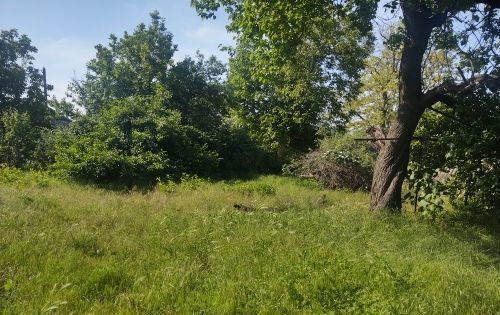 земля р-н Темрюкский г Темрюк ул Горького 5 Темрюкское городское поселение фото 5