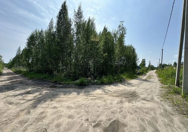 земля Дорога жизни, 20 км, Рахьинское городское поселение, коттеджный пос. Гладкое-Рахья фото