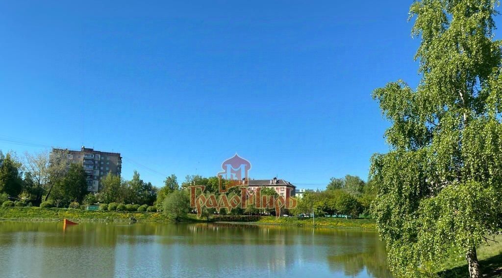 квартира г Дмитров ул Чекистская 12 фото 15