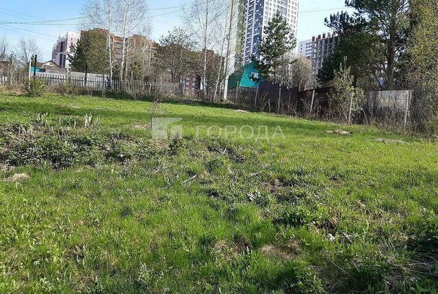 земля Золотая Нива НСТ Ветеран фото