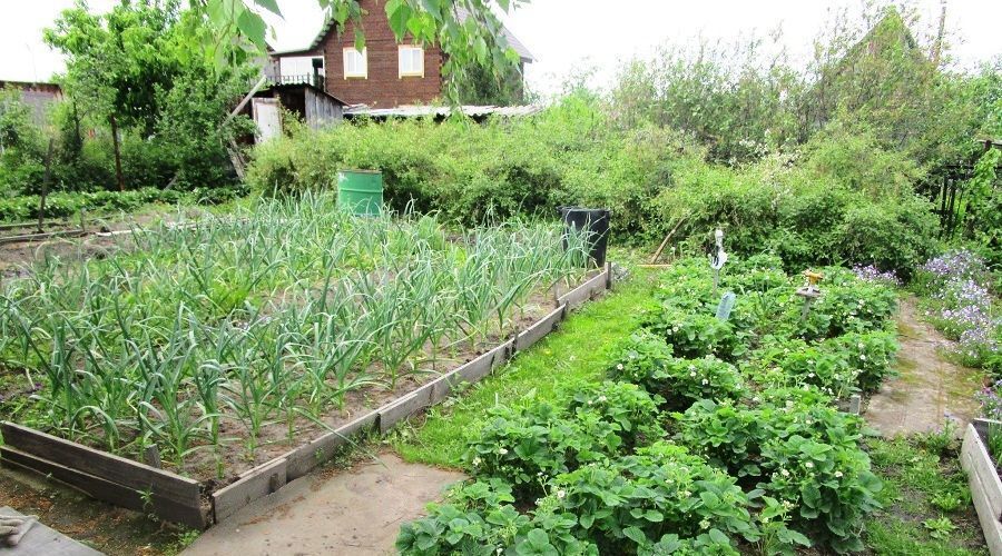 дом г Омск р-н Октябрьский снт Восток Октябрьский АО фото 15