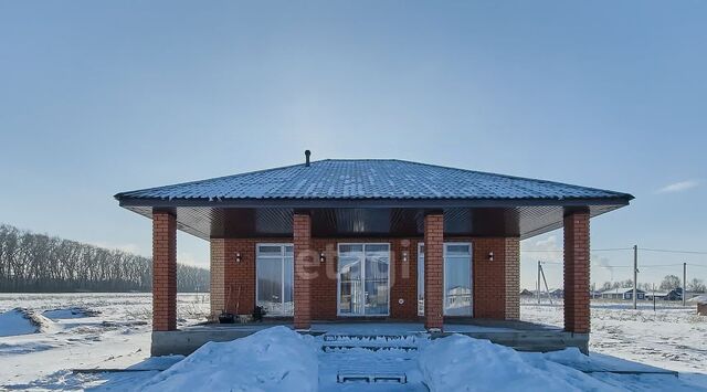 с Новое Барятино пер 5-й Гранатовый 2 сельсовет, Казадаевский фото