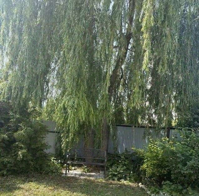 дом г Кинель пгт Усть-Кинельский СХИ и другие организации СДТ, Б массив, ул. 1-я, Самарский фото 20