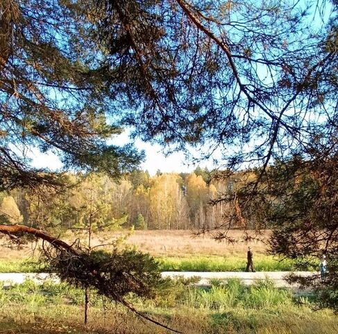 земля с Каймары ул Хлебная Чернышевское с/пос фото