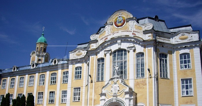 квартира г Воронеж р-н Центральный ул Ломоносова 83б фото 14