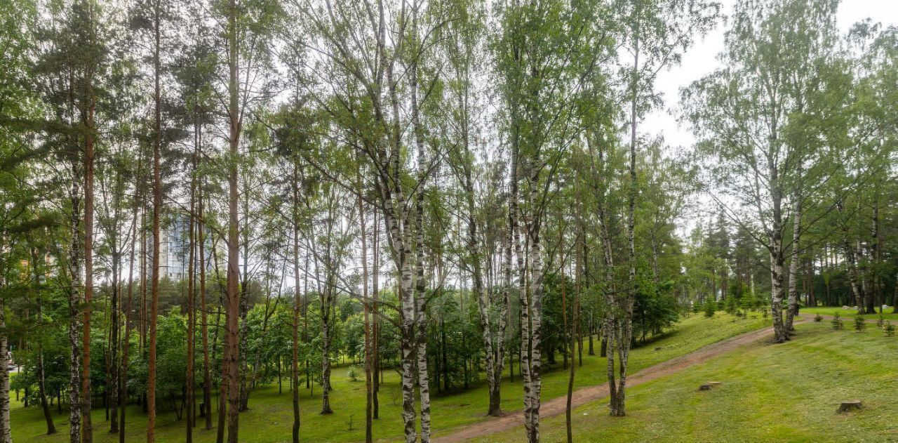 квартира г Санкт-Петербург метро Озерки пр-кт Тореза 118 округ Светлановское фото 45