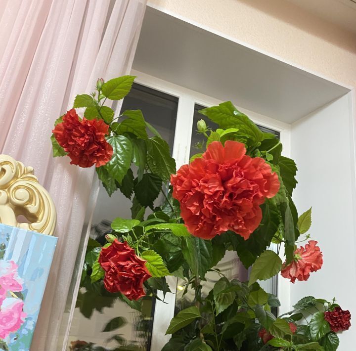 квартира г Орел р-н Заводской ул Комсомольская 64/2 фото 12