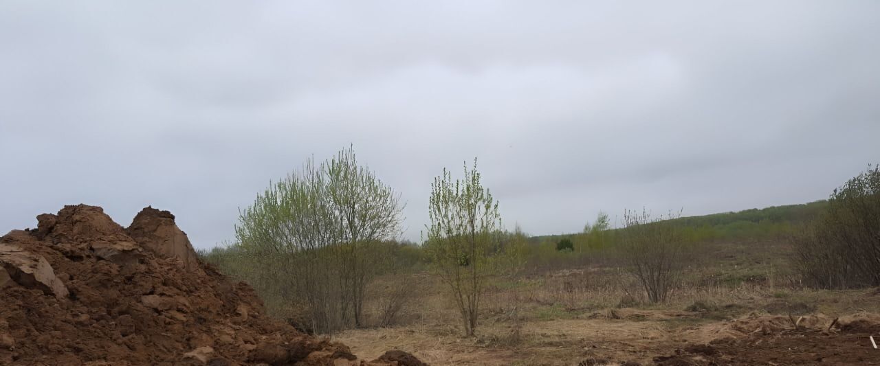 земля г Коломна п Семёновское фото 1