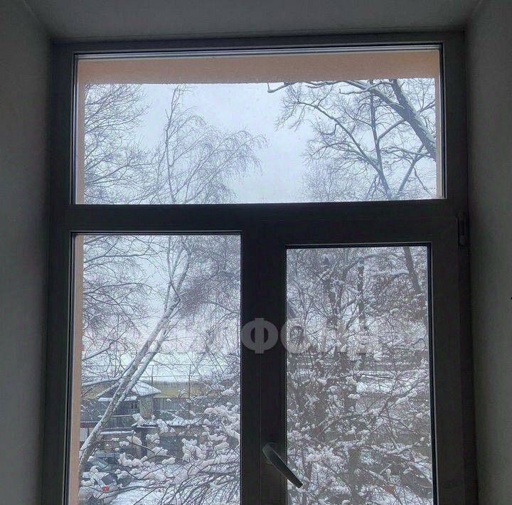 квартира г Воронеж р-н Центральный ул Кольцовская 4 фото 21