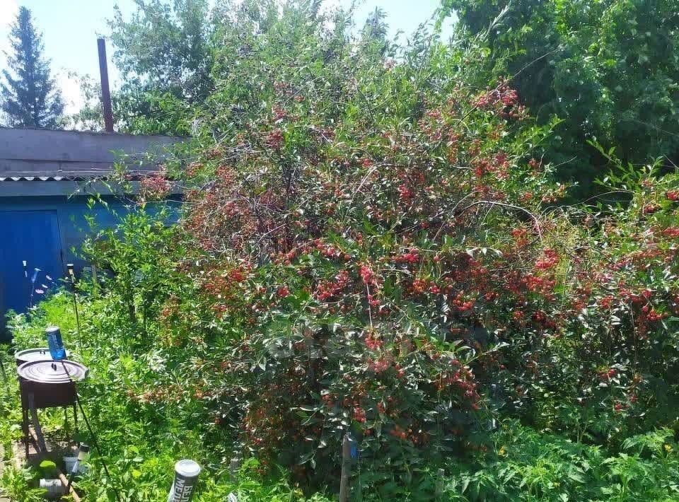 дом г Омск р-н Центральный СОСН Элита тер., аллея 4-я, 107 фото 14