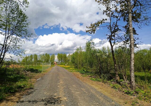 земля 34 км, д. Каменка, Рогачёвское шоссе фото