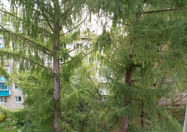 ул Академика Обручева 88 Ржевский муниципальный округ фото