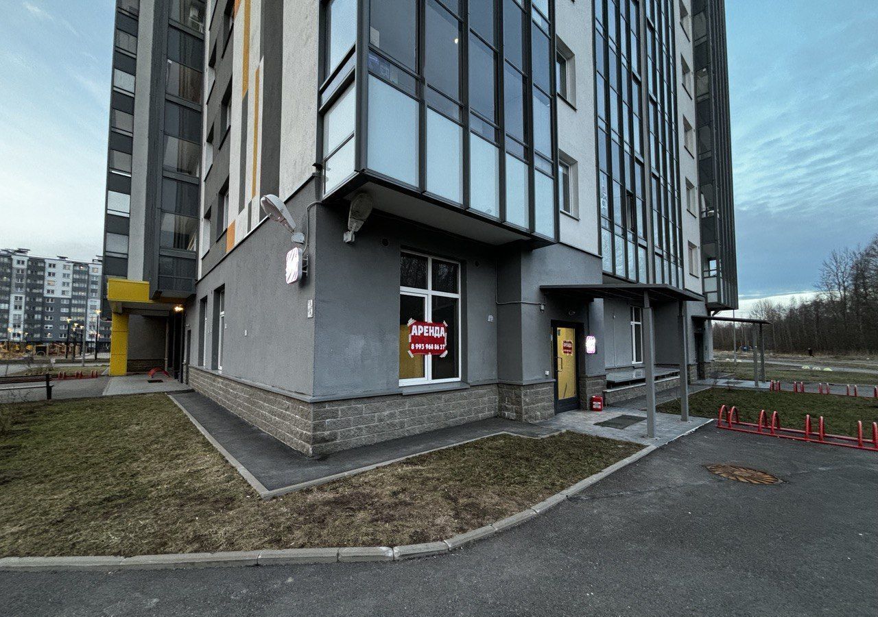 свободного назначения г Санкт-Петербург метро Озерки наб Реки Каменки 21к/1 округ Коломяги фото 8