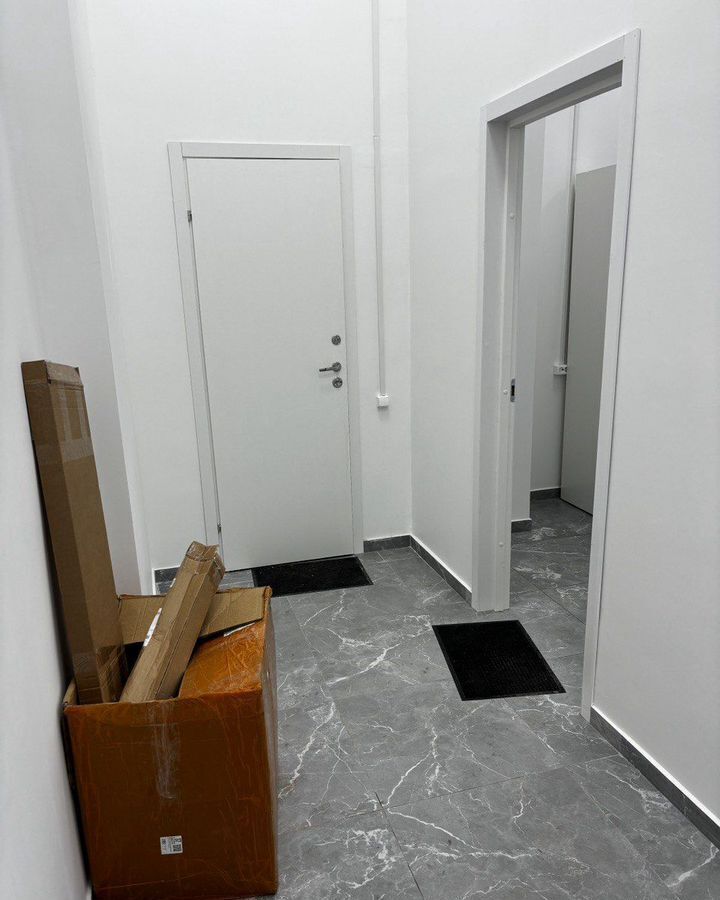 свободного назначения г Санкт-Петербург метро Озерки наб Реки Каменки 21к/1 округ Коломяги фото 10