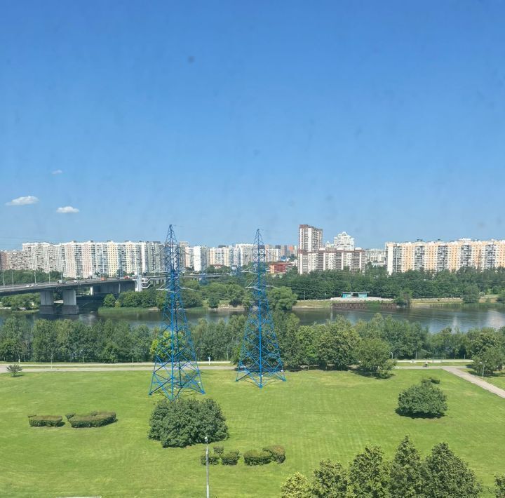 квартира г Москва метро Борисово ул Борисовские Пруды 20к/1 муниципальный округ Братеево фото 21