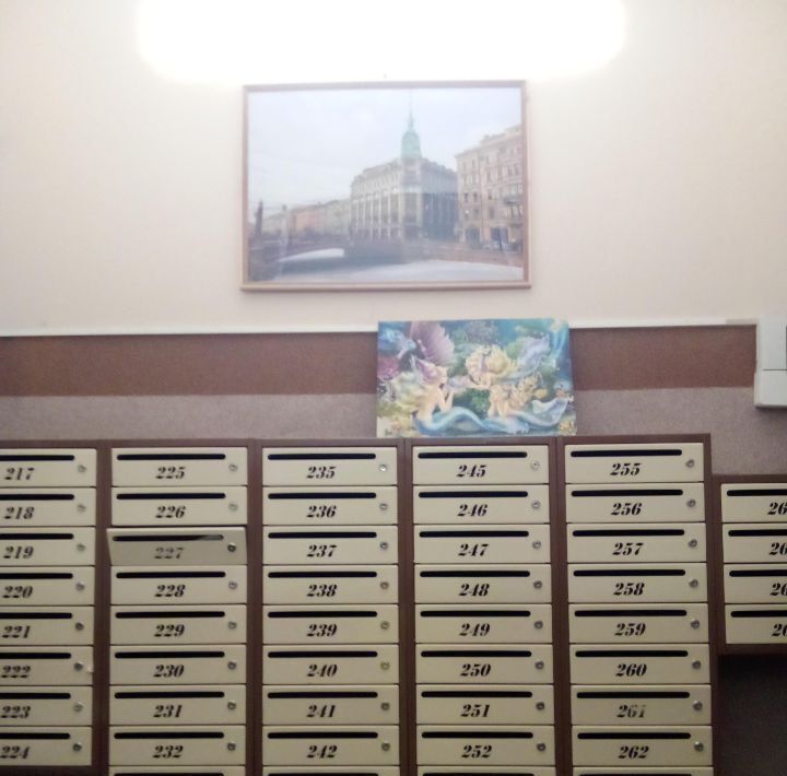 квартира г Санкт-Петербург метро Лесная пр-кт Маршала Блюхера 51к/1 округ Полюстрово фото 16