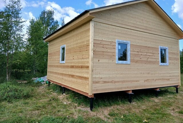 массив Красницы Новая Ладога фото