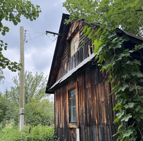 Ботаническая КС, 255, Дружба фото