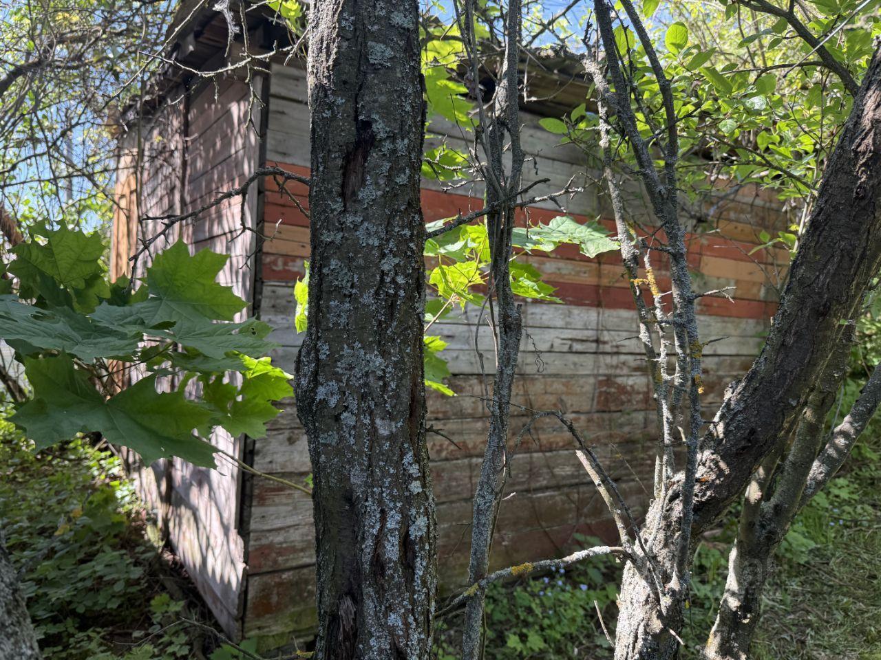 земля городской округ Пушкинский г Красноармейск Шаблыкино, 162 фото 10