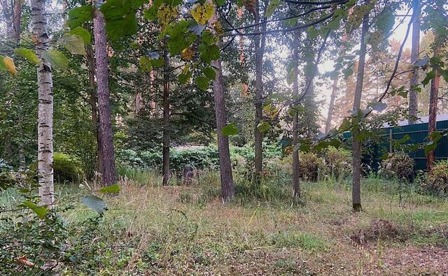 6 км, ДПК Новь, Красногорск, Рублёво-Успенское шоссе фото