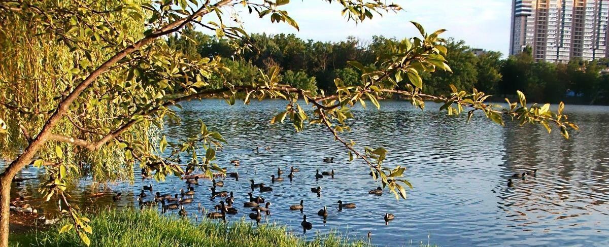 квартира г Краснодар р-н Центральный ул им. Щорса фото 10