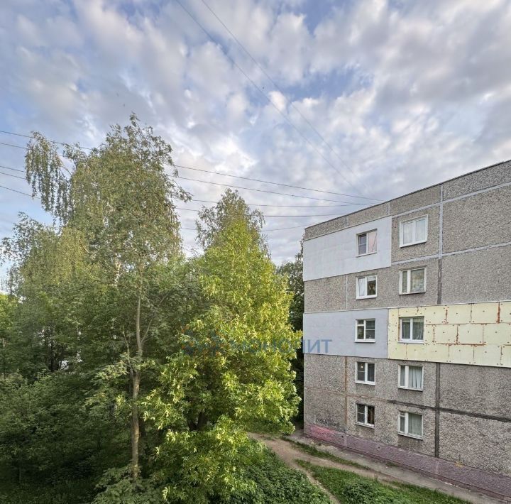 квартира г Нижний Новгород Буревестник ул Баренца 6 фото 10