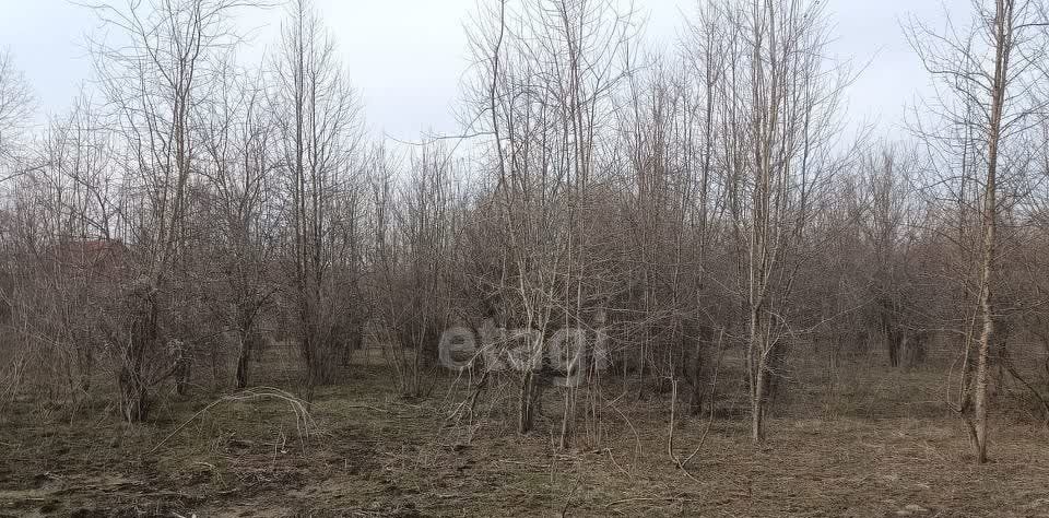 земля г Горячий Ключ ст-ца Саратовская фото 4