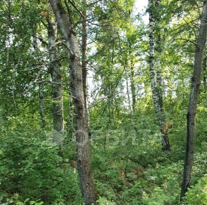 земля г Тюмень р-н Центральный ул Угорская фото 2