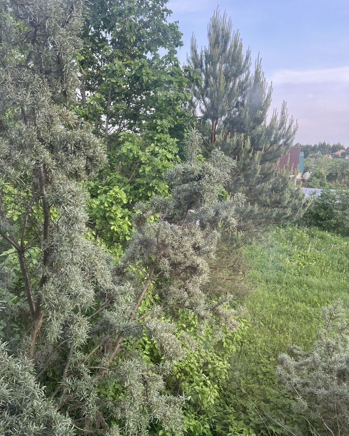 дом г Кострома р-н Заволжский снт Полиграфист 98 фото 6