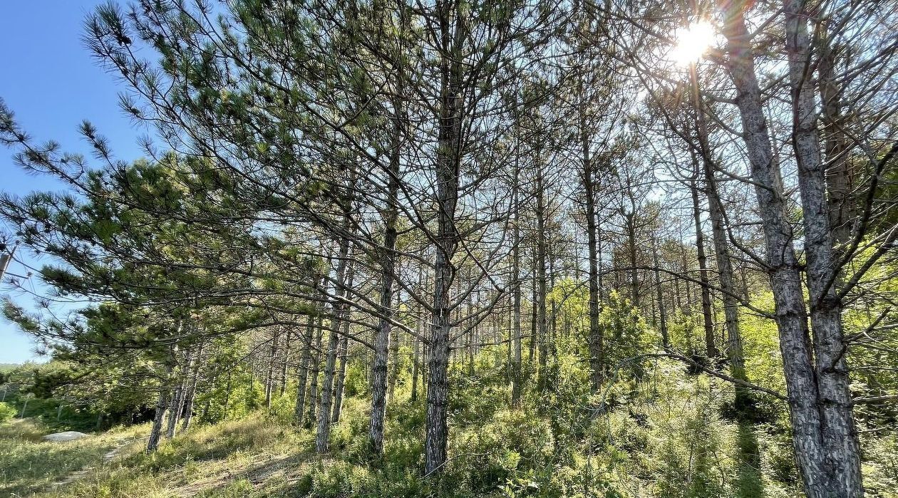 земля г Новороссийск с Абрау-Дюрсо фото 1