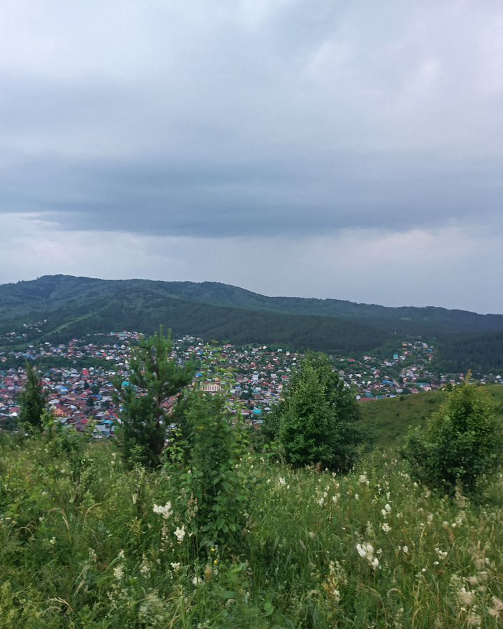 земля г Горно-Алтайск снт Обозостроительный фото 1