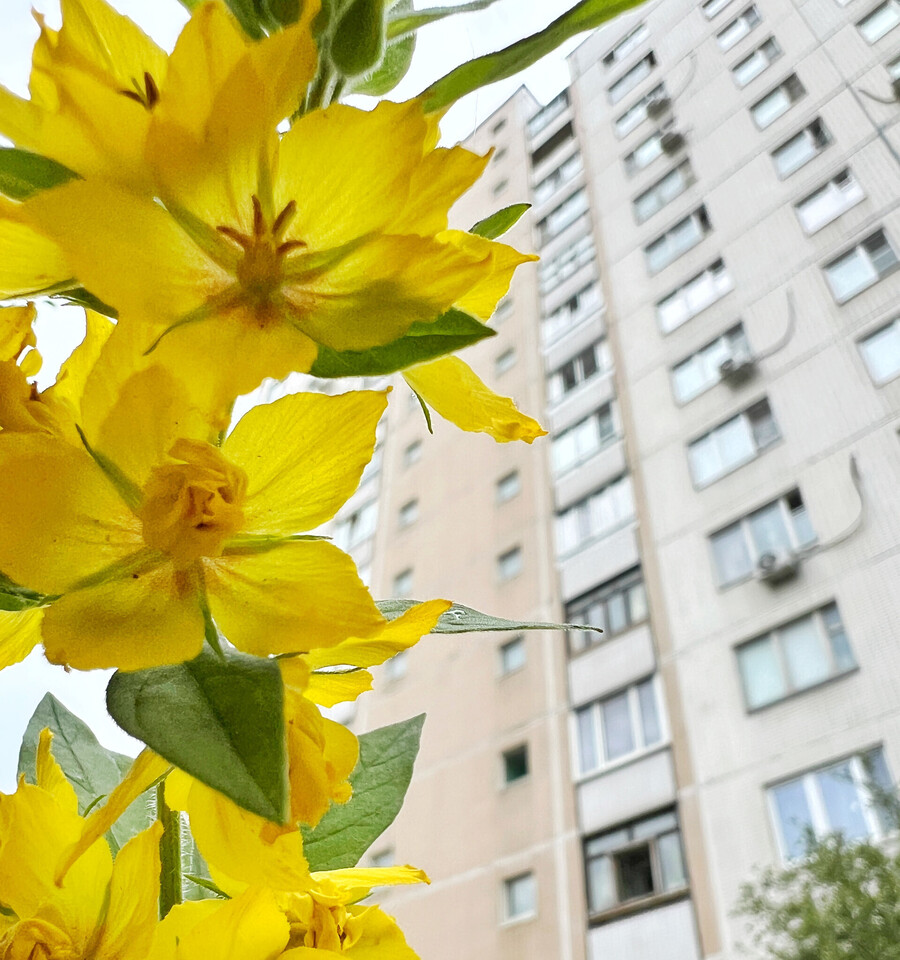 квартира г Москва метро Сходненская проезд Досфлота 6 муниципальный округ Южное Тушино фото 1