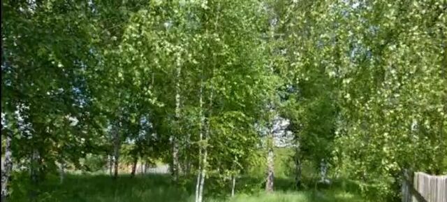 пер Васильковый 6 фото