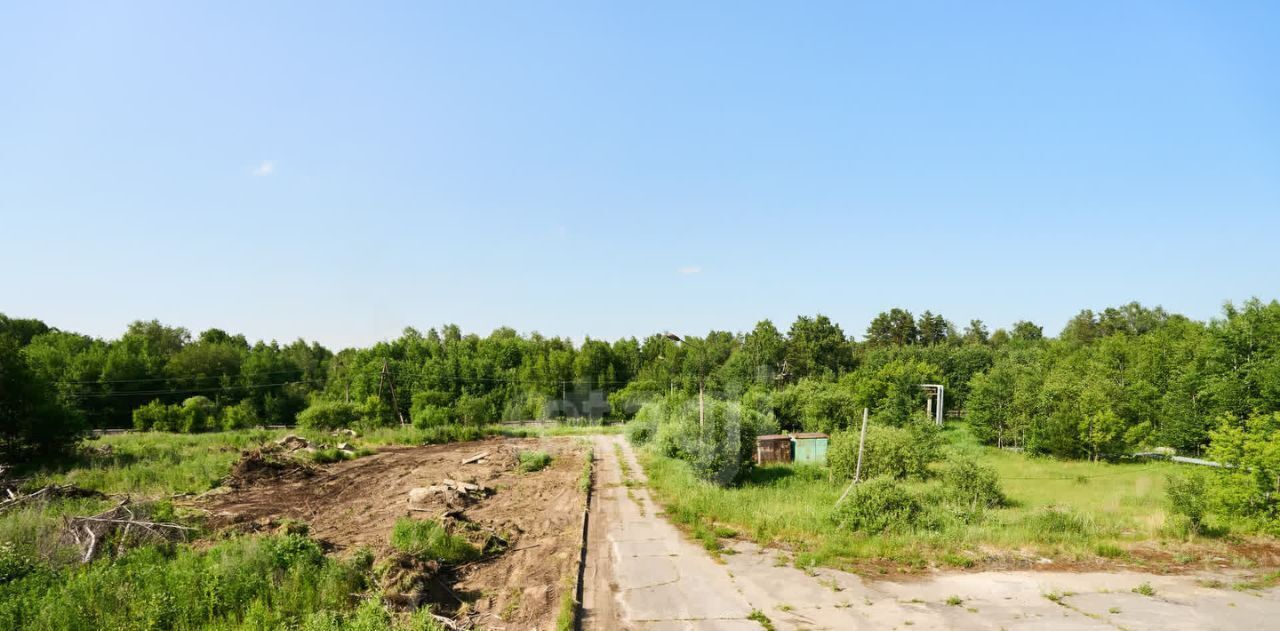земля г Северск ул Тургенева фото 4