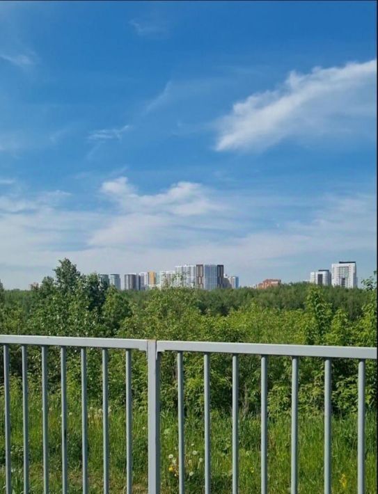 квартира г Пермь р-н Мотовилихинский б-р Гагарина 18 фото 24