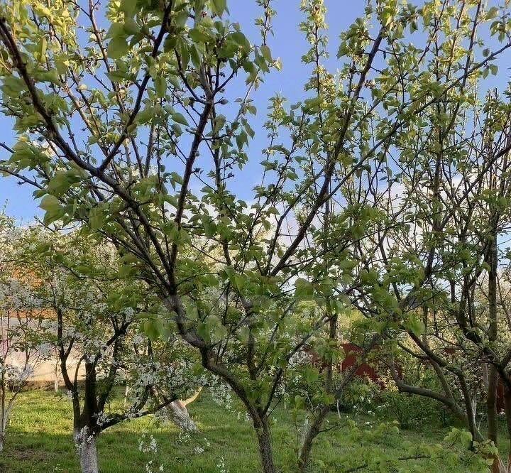 дом г Горячий Ключ ул Комсомольская 70 фото 35