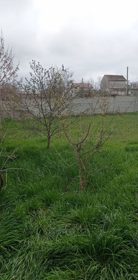 земля г Феодосия садовые участки Очистные, Вишнёвая ул фото 2