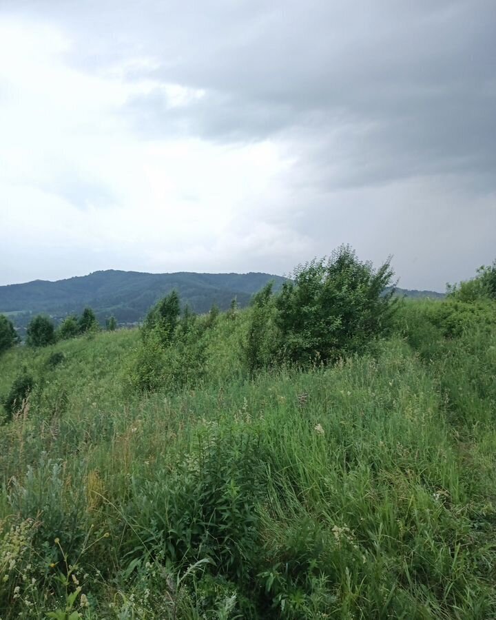земля г Горно-Алтайск снт Обозостроительный фото 5