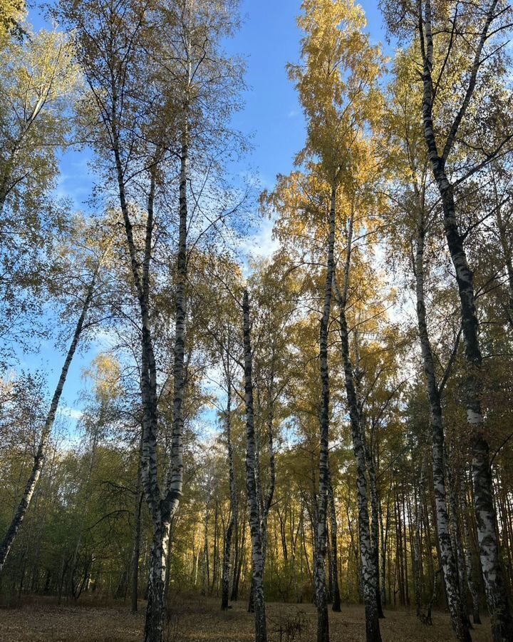 квартира г Воронеж р-н Советский ул Южно-Моравская 33 фото 12