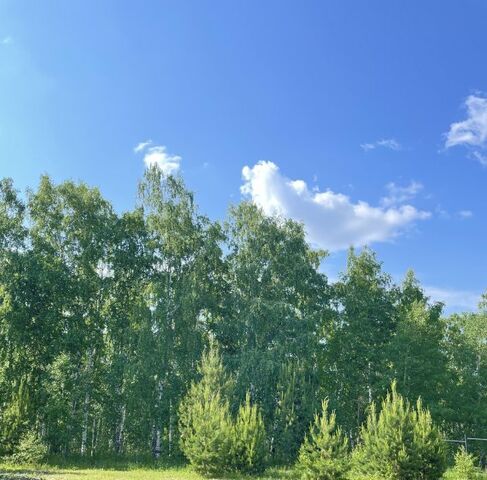 сельсовет, Теремок кп, ул. Сосновая, 35 фото
