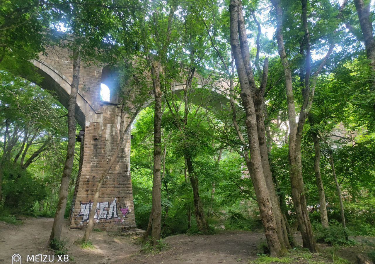 земля г Ставрополь р-н Ленинский ДНТ Лилия фото 8