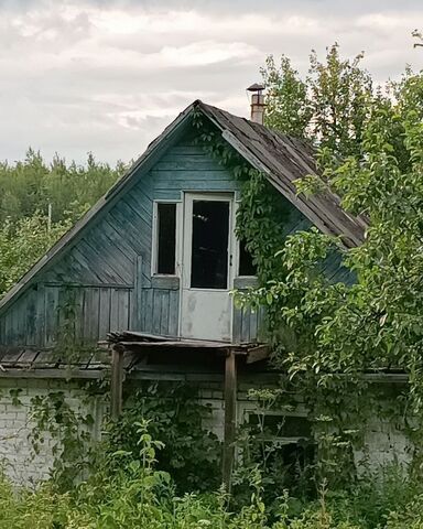 Парк культуры сельский пос. Новинки, 113, СНТ Колос фото