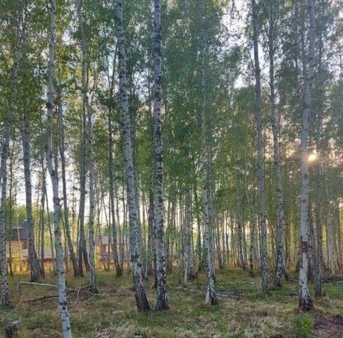 земля п Новая Разводная ул Западная фото