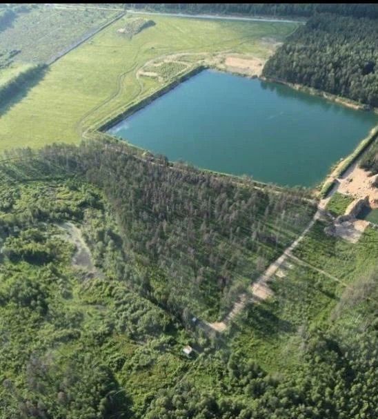 дом городской округ Богородский г Старая Купавна ул Большая Московская 169 22 км, Горьковское шоссе фото 7