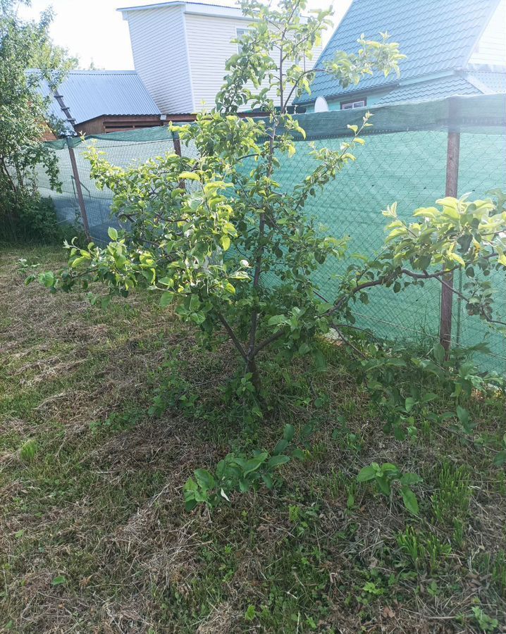 земля г Ступино 69 км, 206, городской округ Ступино, Малино, Новокаширское шоссе, СНТ Металлург-16 фото 11