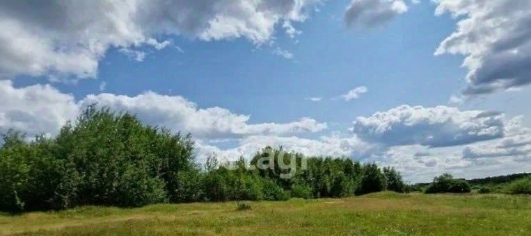 дом г Нижний Тагил п Волчёвка пер Западный 20 фото 8