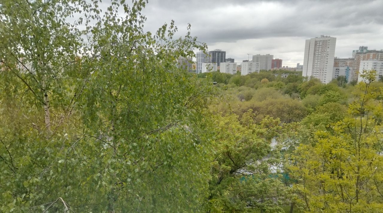 квартира г Москва ул Софьи Ковалевской 2а Яхромская фото 17