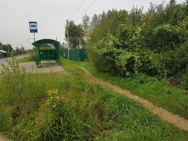 снт тер.Нарцисс 39, Вербилки фото