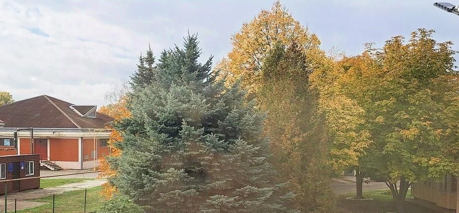 комната р-н Тимашевский г Тимашевск мкр Садовод фото 47